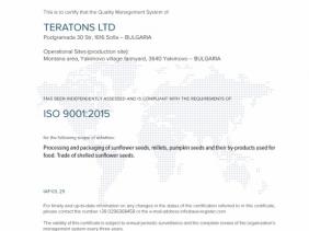 ISO 9001